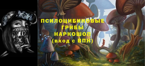 ПСИЛОЦИБИНОВЫЕ ГРИБЫ Бородино